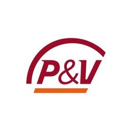 pv-logo image originale